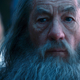 Illustration for article titled New emHobbit/em pics give a first look at Radagast the Brown, whos getting a bigger storyline!